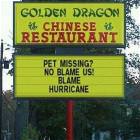 Pet Missing