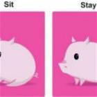 Pet Pig