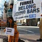 Peta Party