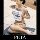 Peta