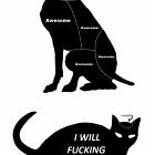 Petting Cats Vs Dogs