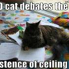 Phd Cat