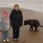 Photo Bomber Dog