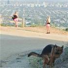 Photobomb