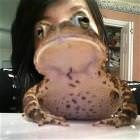 Photobombs Picdump 12