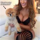 Picture Of A Dog