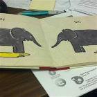 Picture Worth 1000 Words