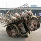 Pig Delivery