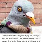 Pigeon Mask Review