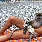 Pimpin Aint Easy