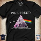 Pink Freud