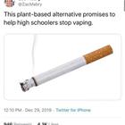 Plant Based Alternative