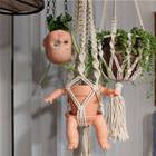 Plant Holders