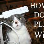 Play Wii Cat