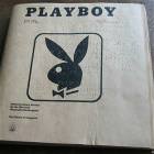 Playboy Blind