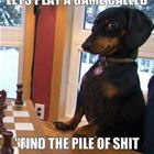 Playing A Little Game