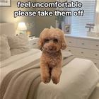 Please