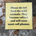 Please Do Not Feed