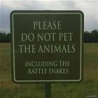 Please Do Not Pet