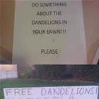 Please Do Something