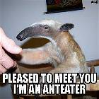 Pleased To Meet You