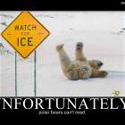 Polar Bears Cant Read
