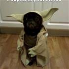 Pooped In Your Shoes