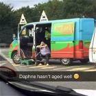 Poor Daphne