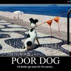 Poor Dog