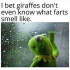 Poor Things