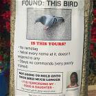 Poorly Trained Bird