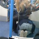 Portable Couch