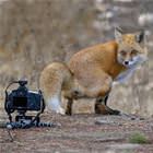 Posing For You