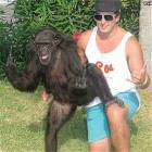 Posing Monkey
