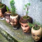 Pot Heads