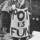 Pot Is Fun