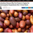 Potato