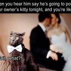 Pounding That Kitty