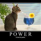 Power