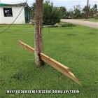 Powerful Storm