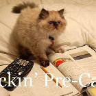 Pre Cal