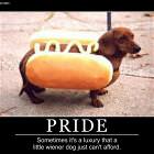 Pride