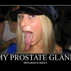 Prostate Gland