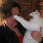 Psycho Cat Attack