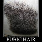 Pubic Hair