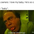 Pug Owners