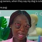 Pug Owners