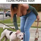 Puppies