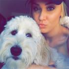 Puppy Dogs 40