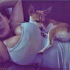 Puppy Dogs 10